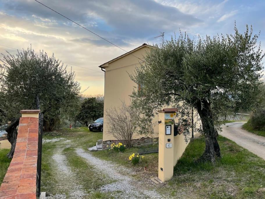 Art Apartment Agriturismo Il Vecchio Merlo Larciano Eksteriør bilde